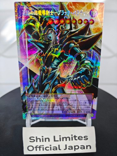 Dark paladin onve - paladin, onve-motion